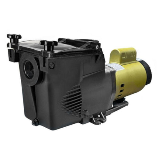 In Ground Pool Pump - 1.5 Hp