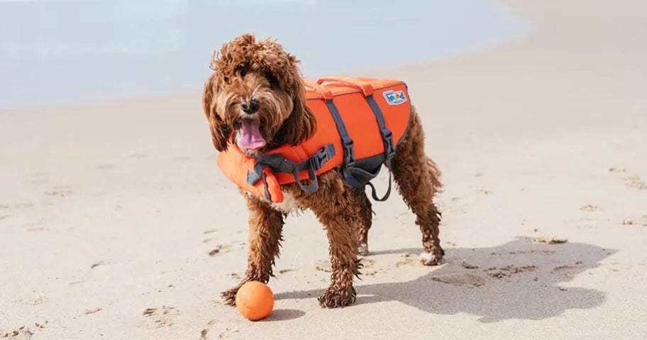 OutwardHound - Dog Splash Life Jacket - L