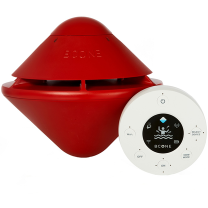 Safety Alarm System