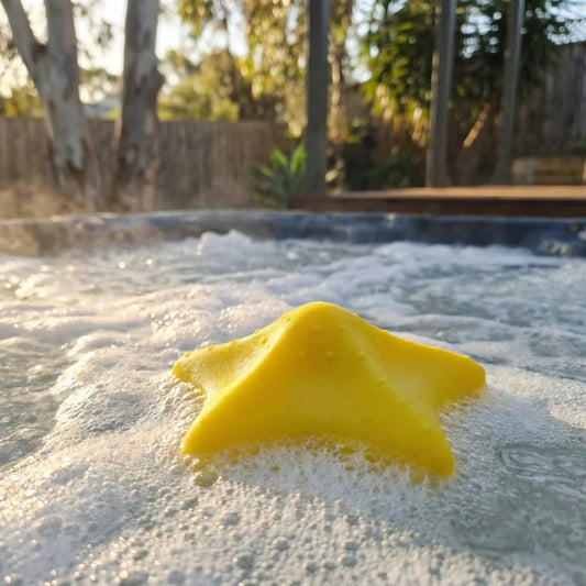 Absorbent Foam Starfish Sponge - 2 Pack
